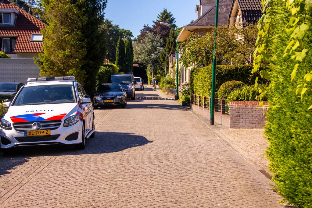 Twee schuren en een hondenkennel in brand