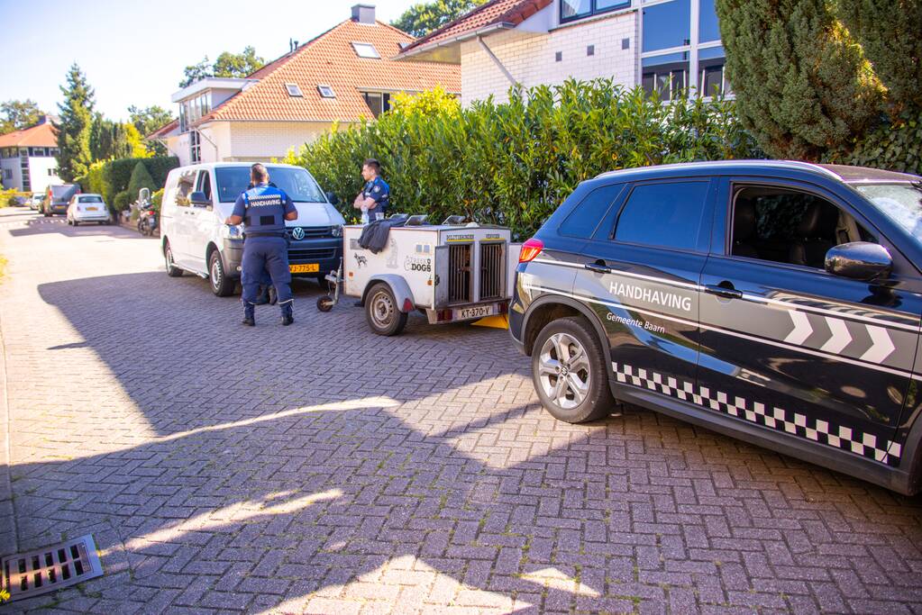 Twee schuren en een hondenkennel in brand