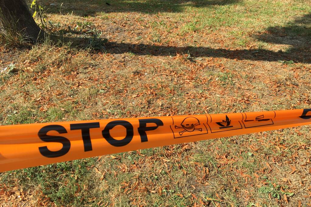 Grote brand Domino's Pizza