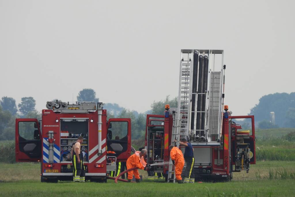 Paard raakt te water