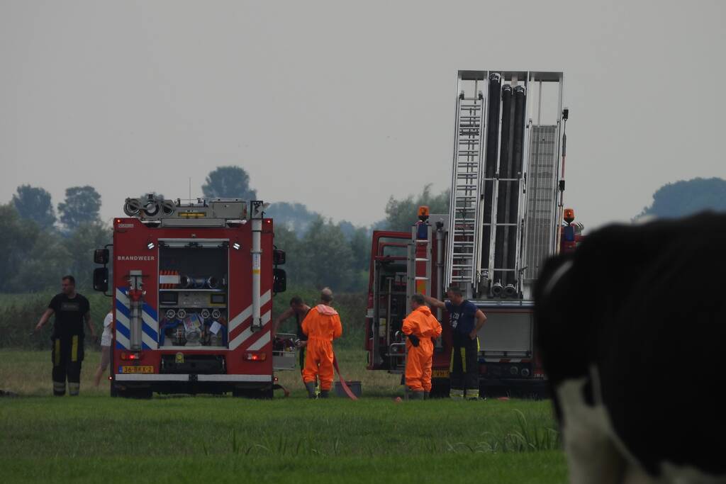 Paard raakt te water