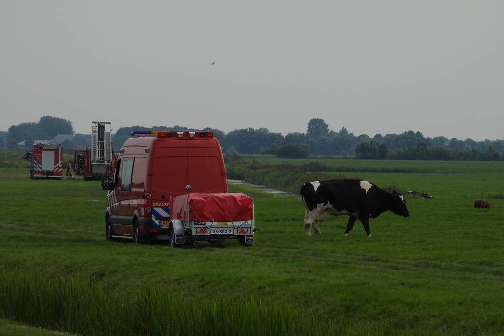 Paard raakt te water