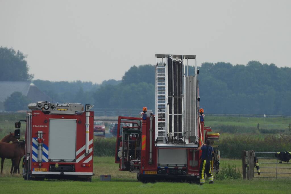 Paard raakt te water