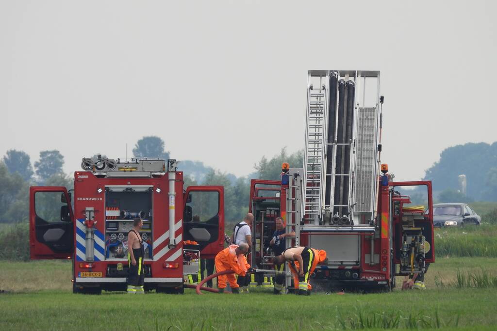 Paard raakt te water