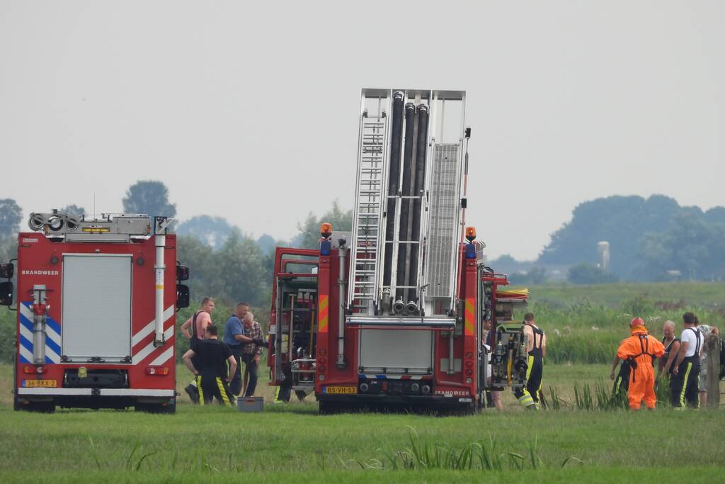 Paard raakt te water