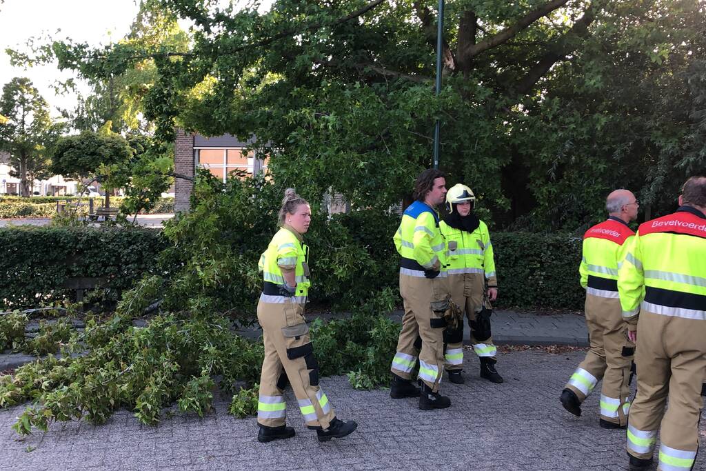 Enorme tak flinke boom breekt af