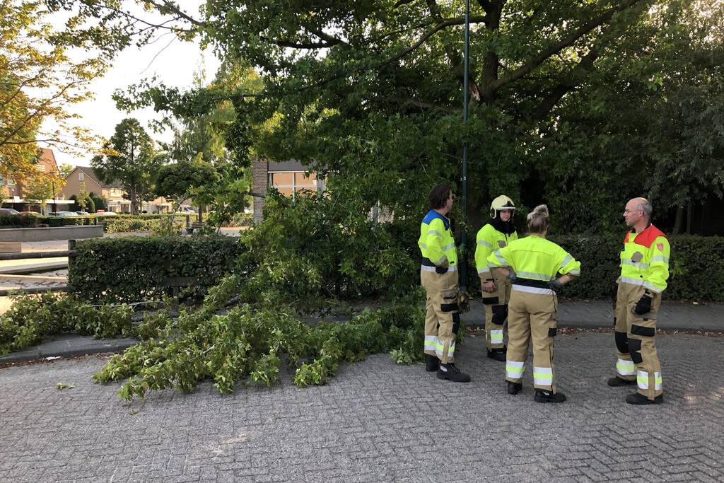 Enorme tak flinke boom breekt af