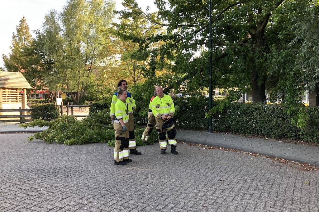 Enorme tak flinke boom breekt af