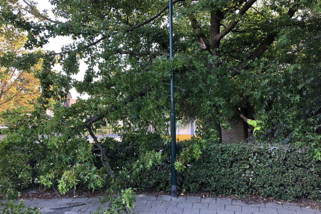 Enorme tak flinke boom breekt af