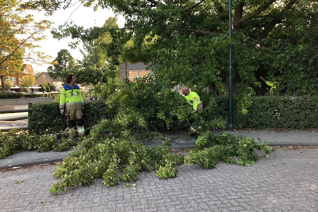 Enorme tak flinke boom breekt af