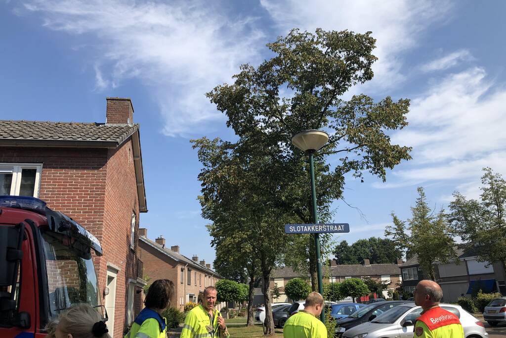 Kat gewond nadat deze uit boom werd gespoten