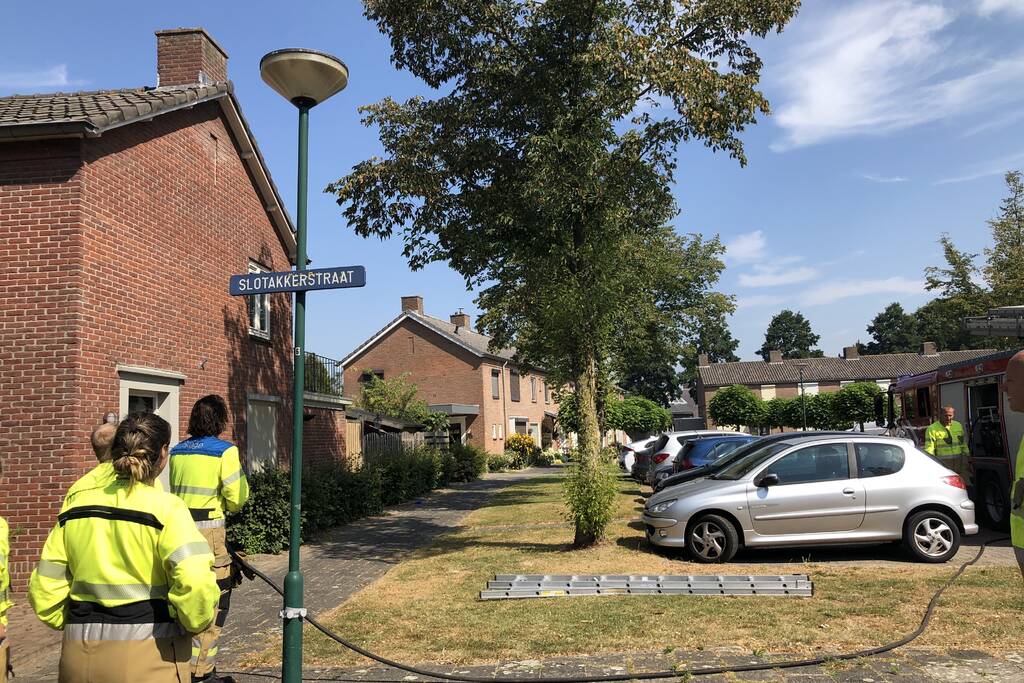 Kat gewond nadat deze uit boom werd gespoten