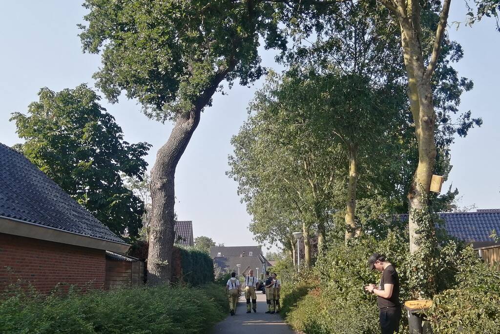 Gevaarlijk hangende tak boven woning verwijdert