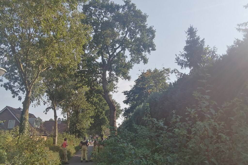 Gevaarlijk hangende tak boven woning verwijdert