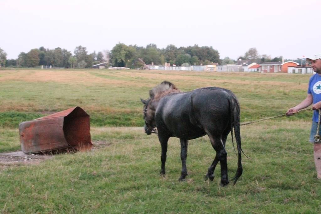 Brandweer redt opnieuw paard uit sloot