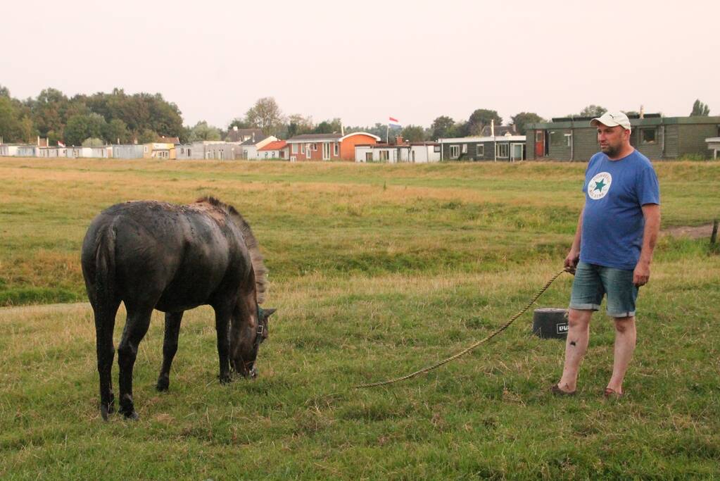 Brandweer redt opnieuw paard uit sloot