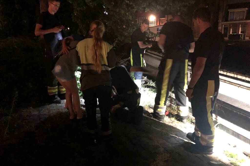 Brandweer redt kat uit gracht