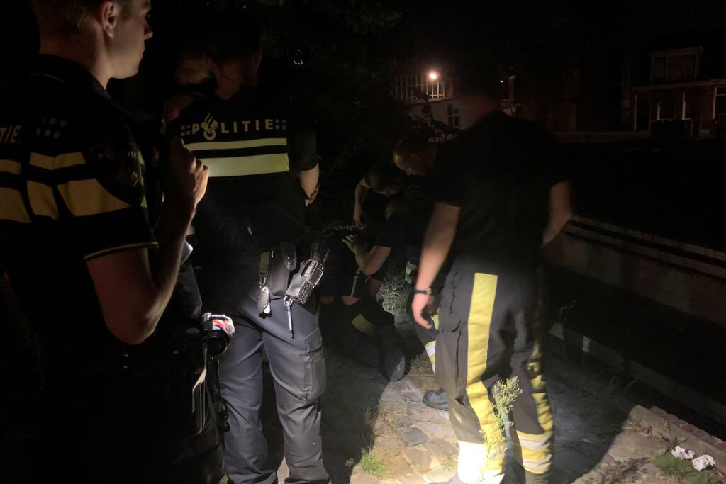 Brandweer redt kat uit gracht