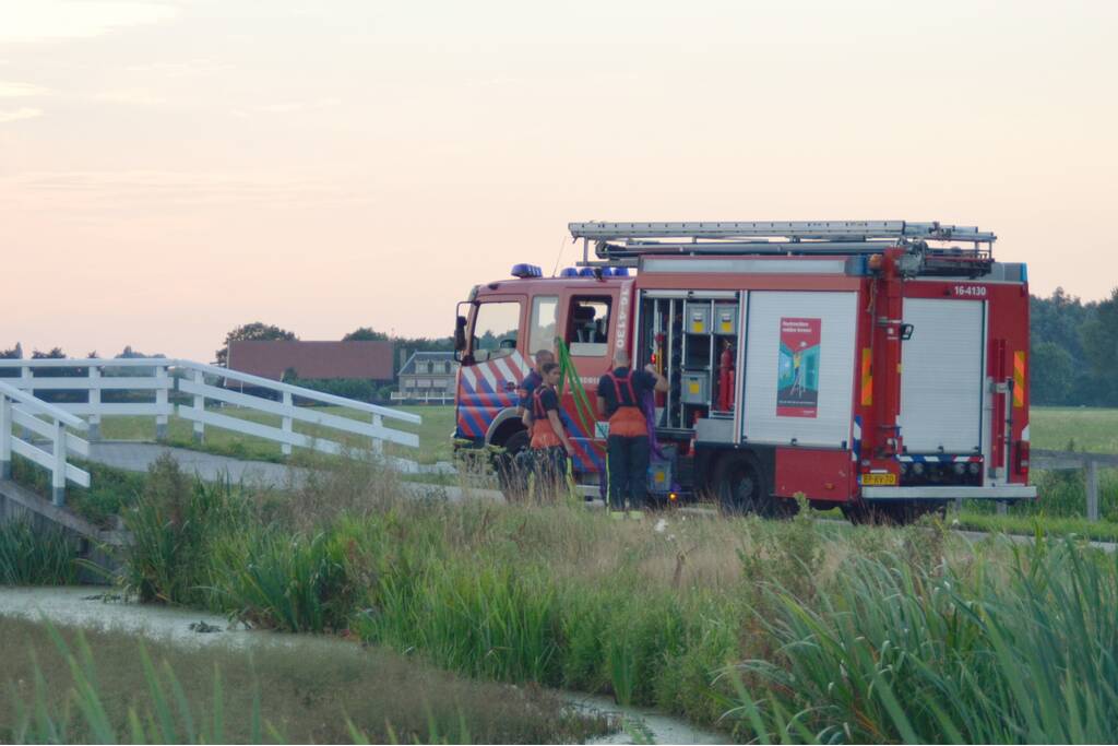 Koe belandt in de sloot