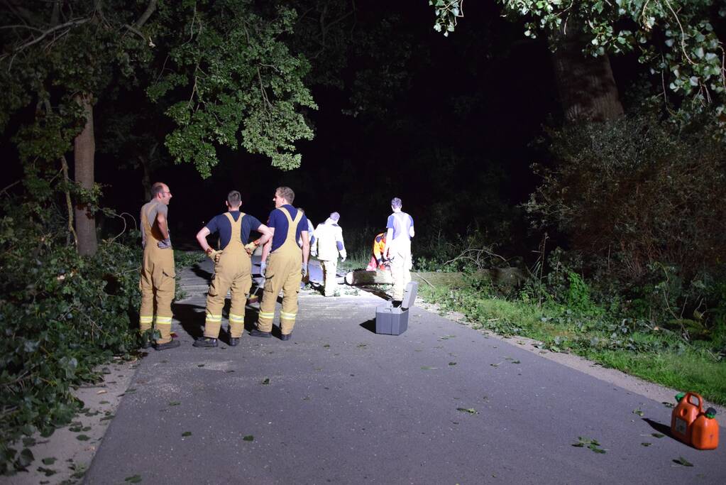 Takken breken uit monumentale boom