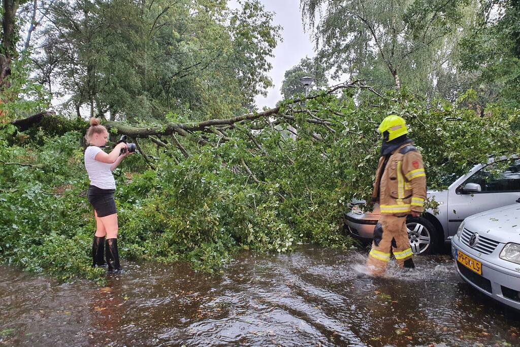 Stuk boom valt op drie geparkeerde auto's