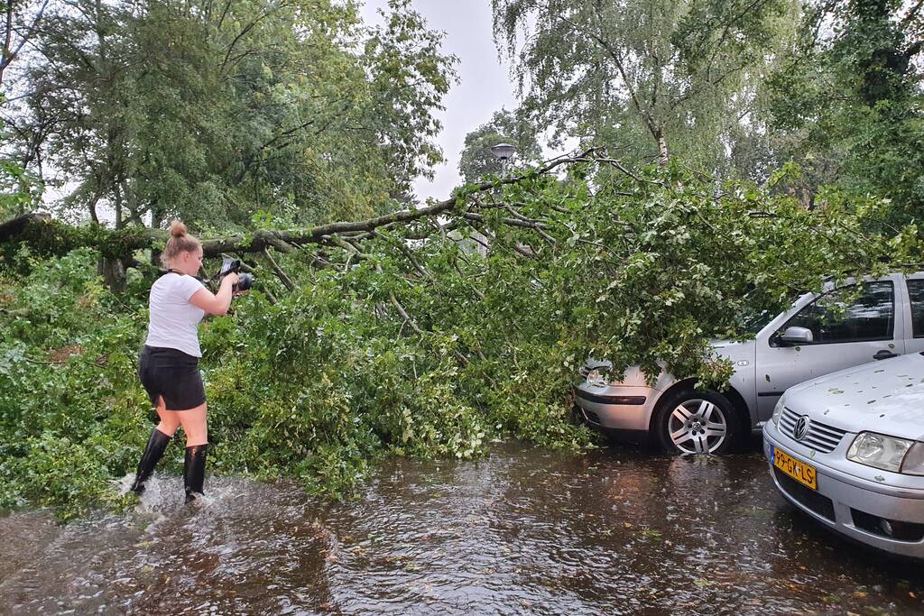 Stuk boom valt op drie geparkeerde auto's