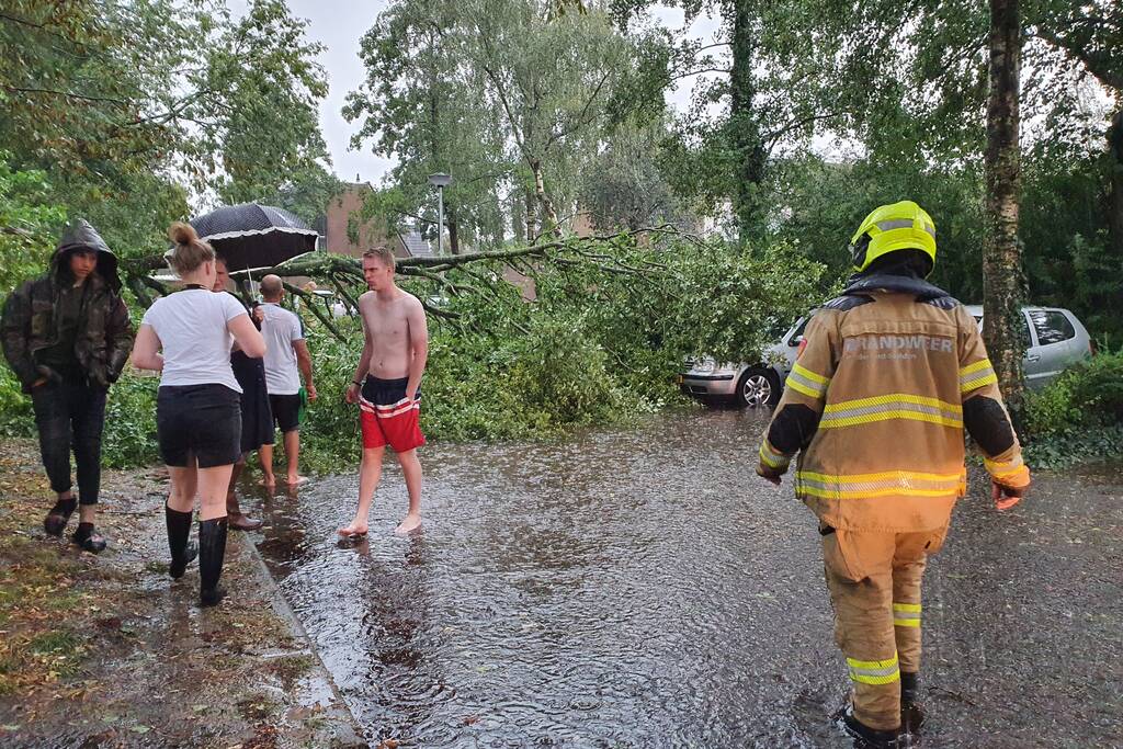 Stuk boom valt op drie geparkeerde auto's