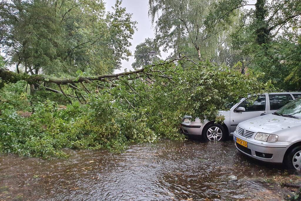 Stuk boom valt op drie geparkeerde auto's