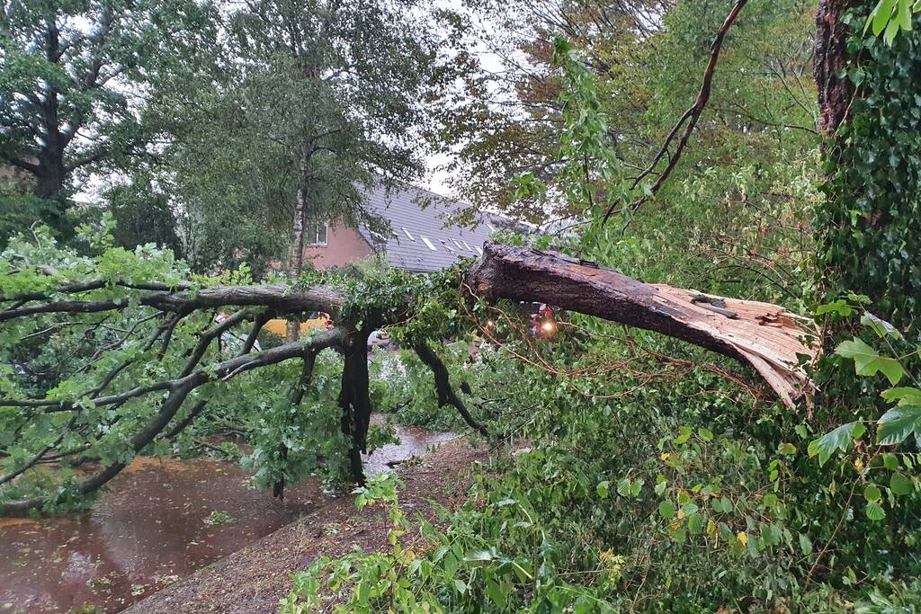 Stuk boom valt op drie geparkeerde auto's