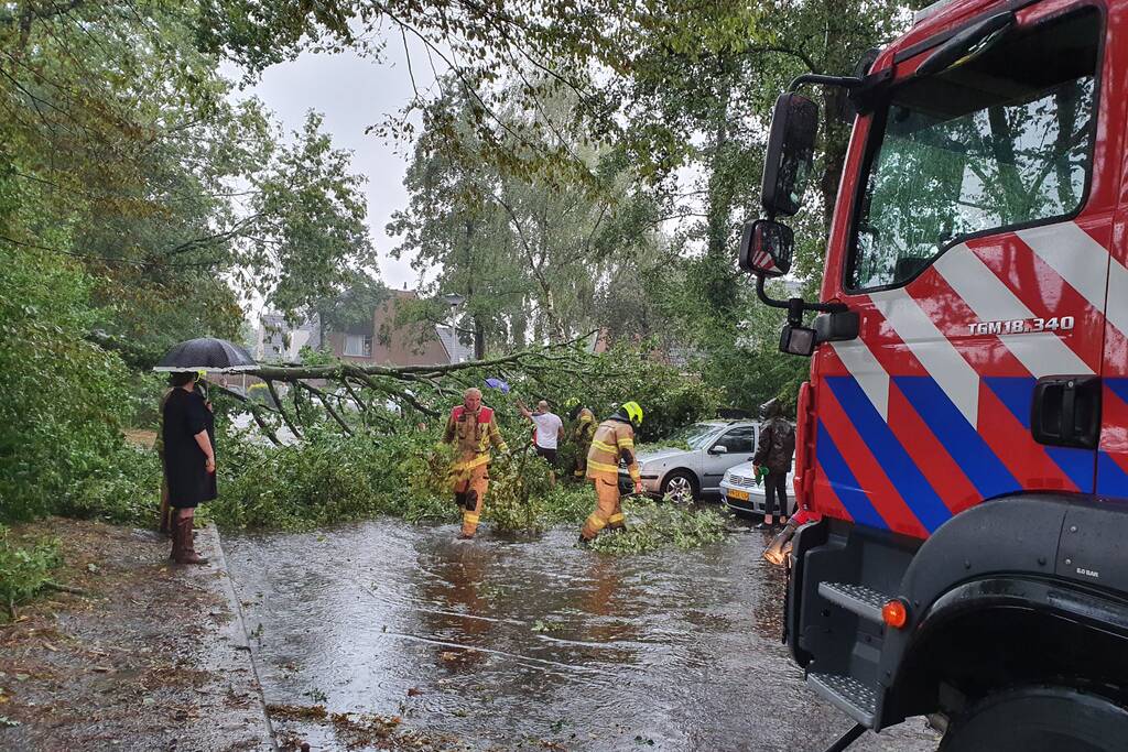 Stuk boom valt op drie geparkeerde auto's