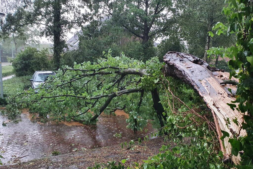 Stuk boom valt op drie geparkeerde auto's