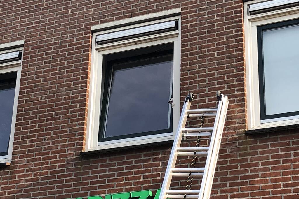 Kat vast tussen klapraam