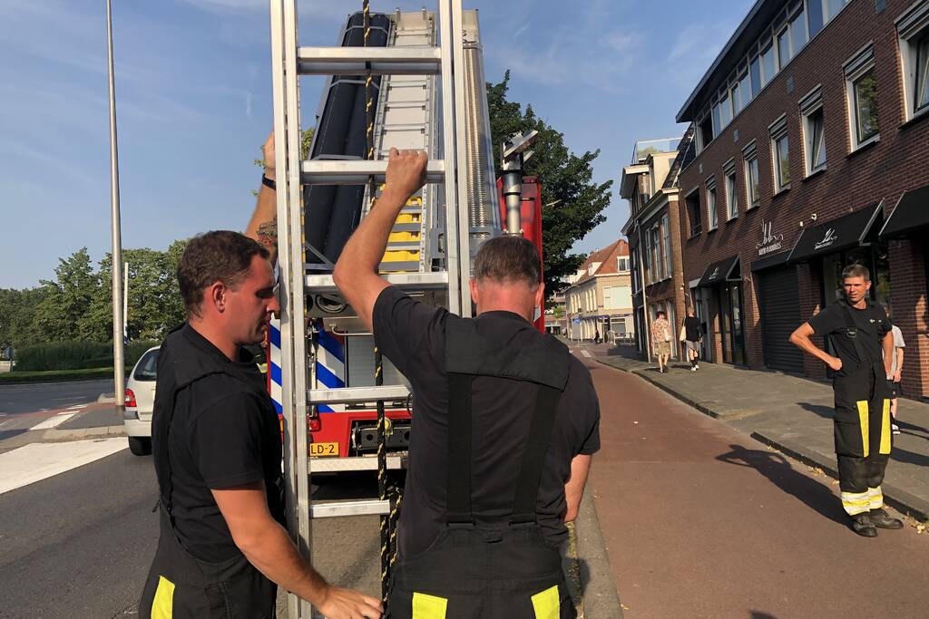 Kat vast tussen klapraam