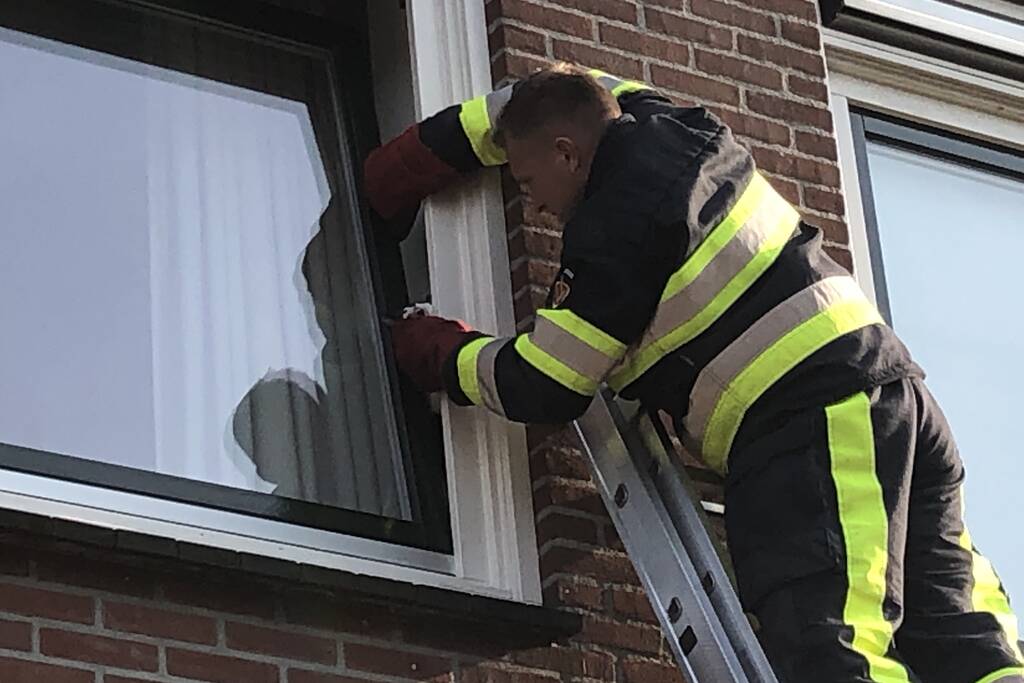 Kat vast tussen klapraam