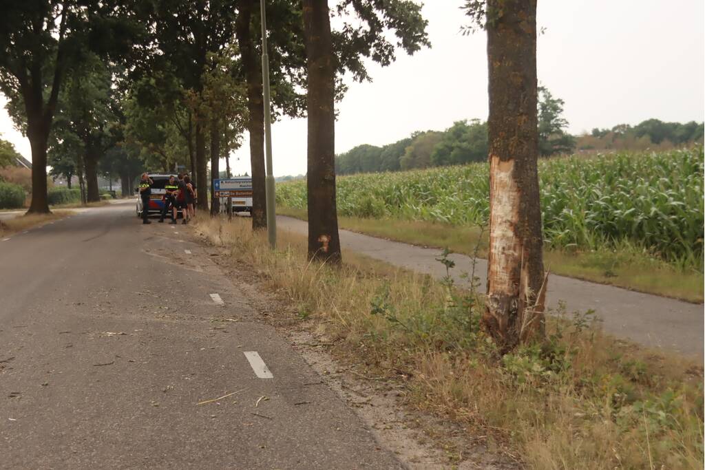 Bestelauto zwaar gehavend na botsing met meerdere bomen