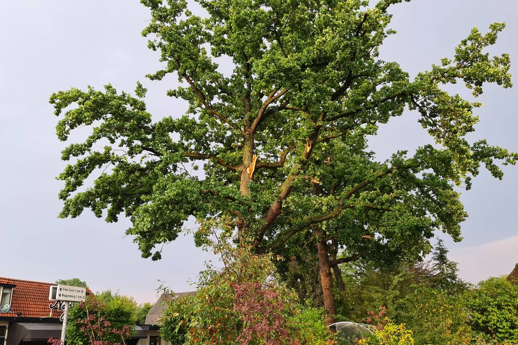 Weg afgesloten doordat takken afbreken