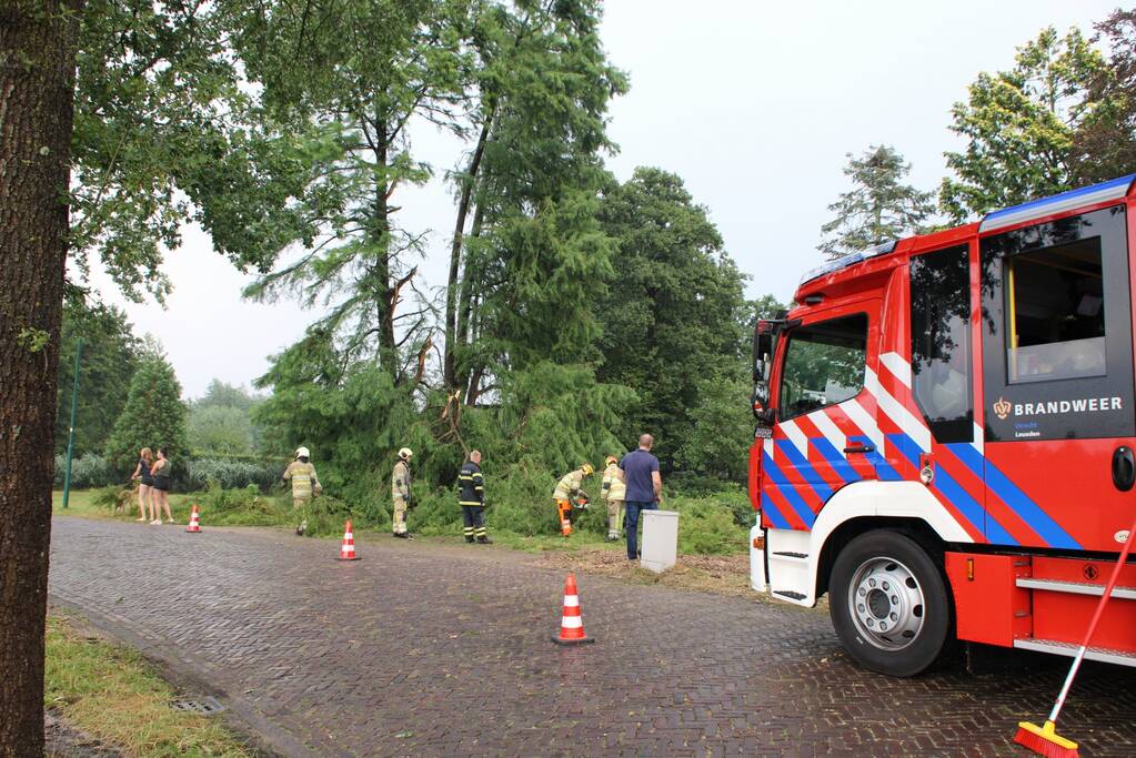 Omgewaaide boom blokeert oprit woning