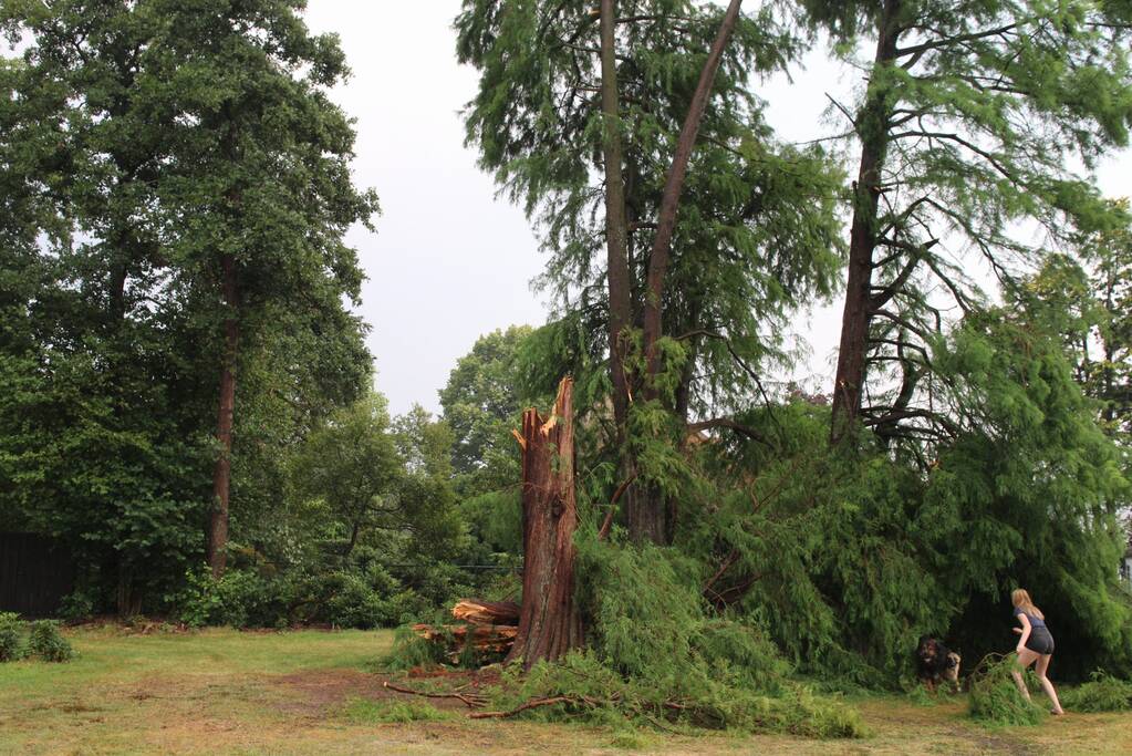 Omgewaaide boom blokeert oprit woning