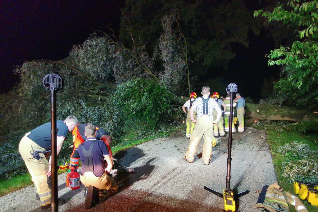 Grote boom valt op weg