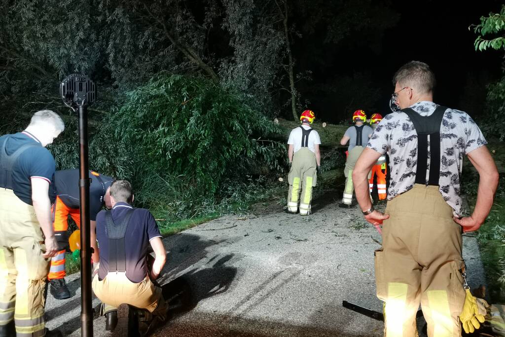 Grote boom valt op weg