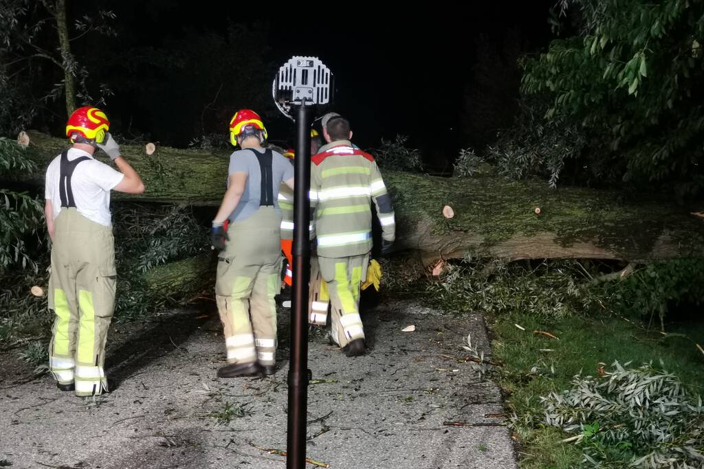 Grote boom valt op weg