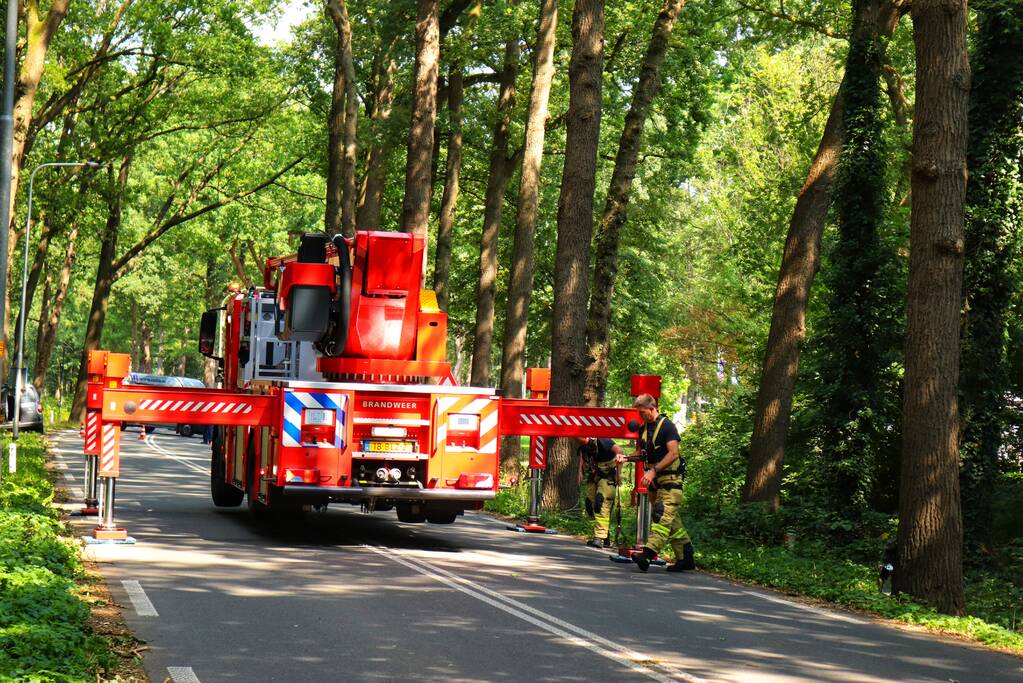 Weg afgesloten voor vallende takken