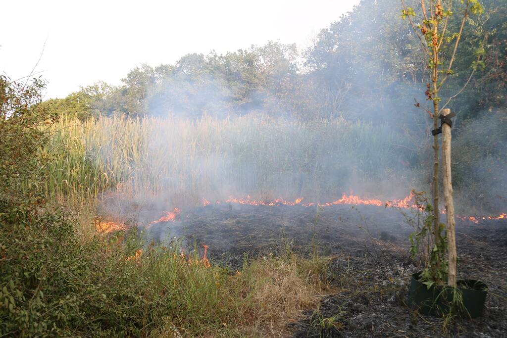 Stuk bos naast zweefvliegclub Volkel vliegt in brand