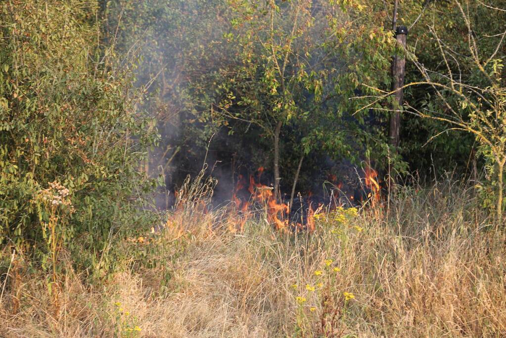 Stuk bos naast zweefvliegclub Volkel vliegt in brand