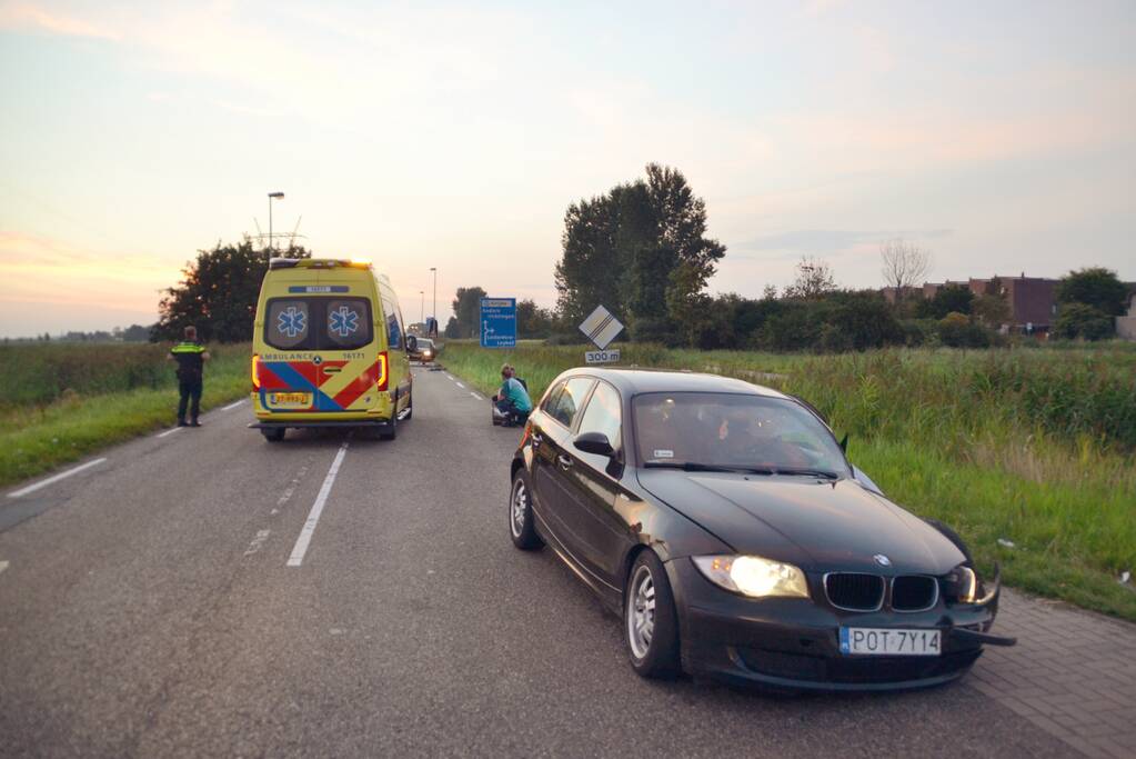 Hond komt met de schrik vrij bij verkeersongeval