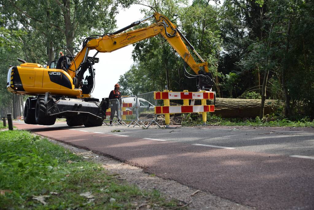 Gemente ruimt 15 bomen op na storm