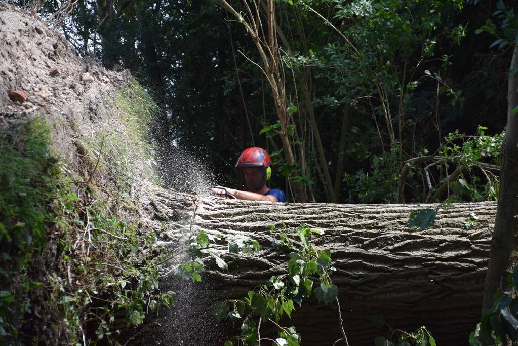 Gemente ruimt 15 bomen op na storm