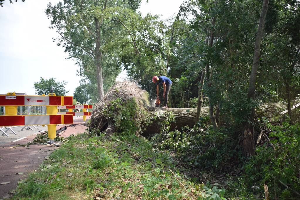 Gemente ruimt 15 bomen op na storm