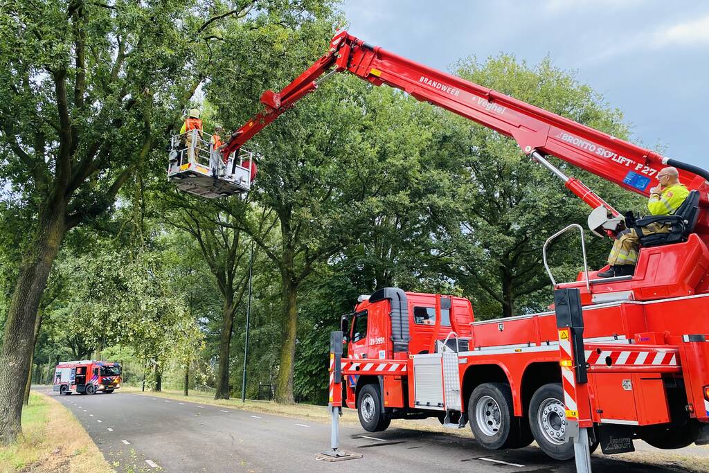 Gevaarlijke afgebroken tak door brandweer verwijderd