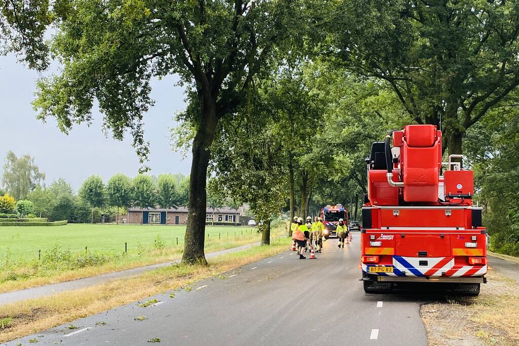 Gevaarlijke afgebroken tak door brandweer verwijderd